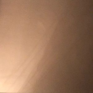 Meet your Posher, Rivianna